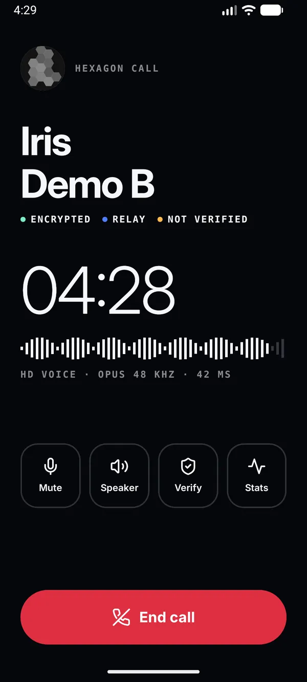 Voice call screen in the Minimal look