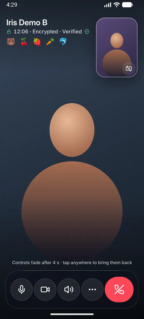 Voice & video calls